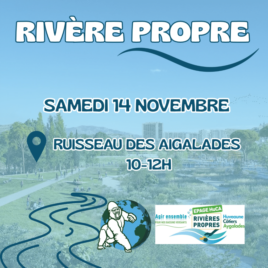 GRAND RAMASSAGE DU MOIS LE SAMEDI 14 NOVEMBRE 2026 !